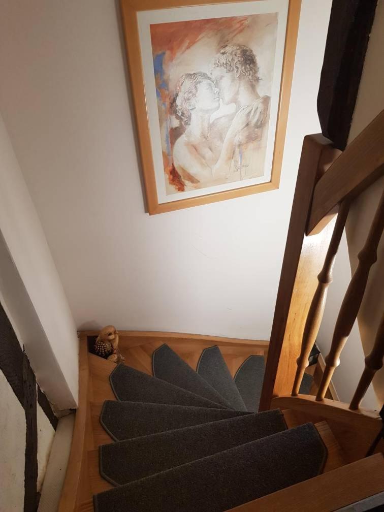 Apartment Luxus 