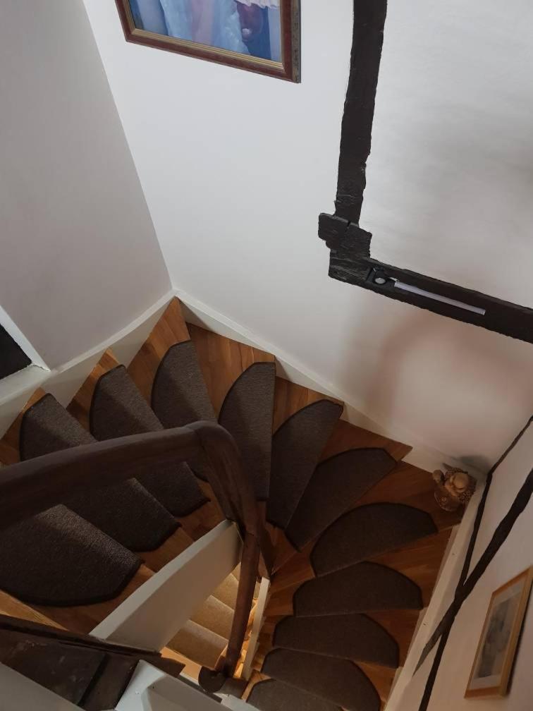 Apartment Luxus 
